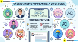 PFP meaning infographic showing various social media profile picture avatar styles