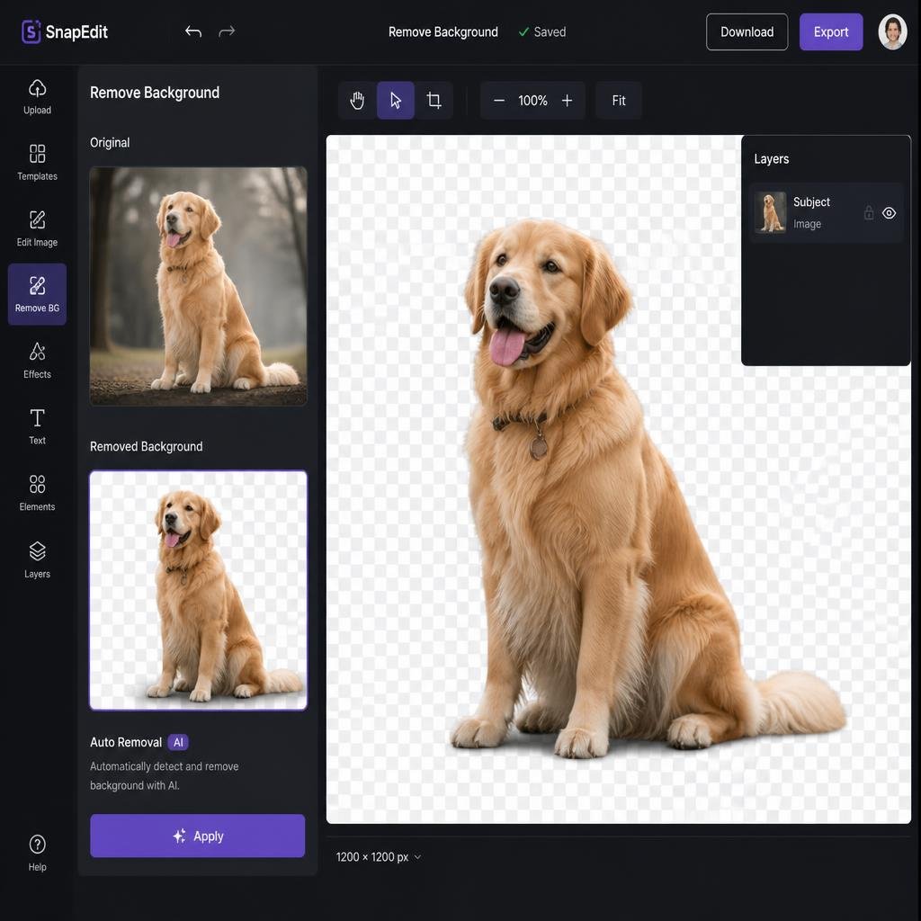 Demonstration of a bg remover Adobe tool creating a transparent PNG image